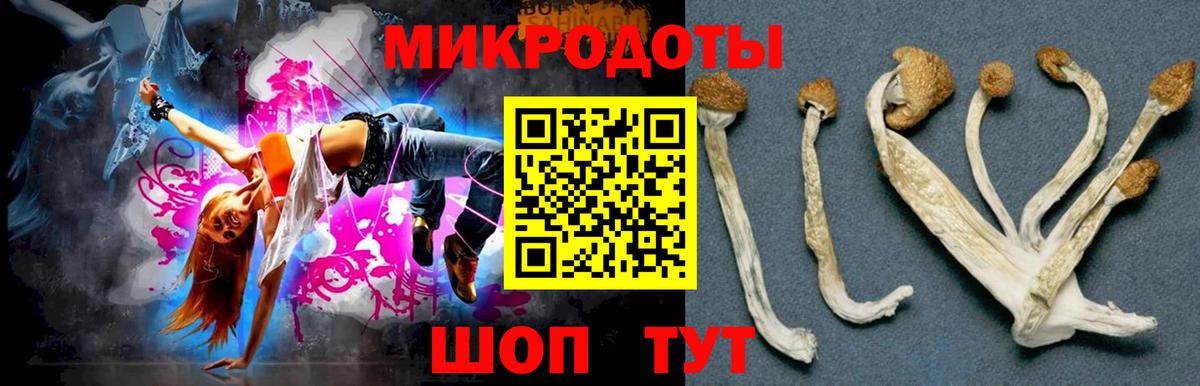Псилоцибиновые грибы MAGIC MUSHROOMS Тимашёвск